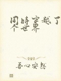 同时穿越了99个世界