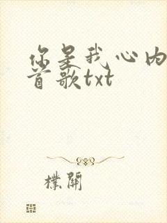 你是我心内的一首歌txt