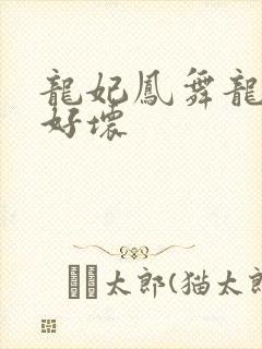 龙妃凤舞龙王你好坏
