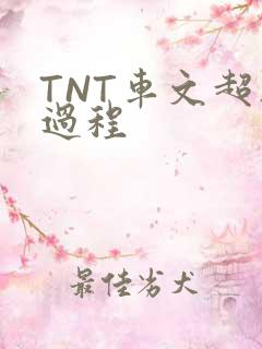 TNT车文超细过程