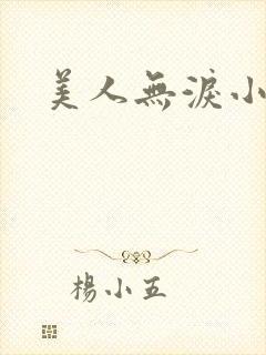 美人无泪小说