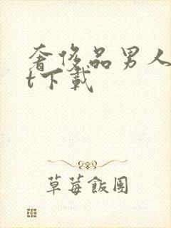 奢侈品男人txt下载