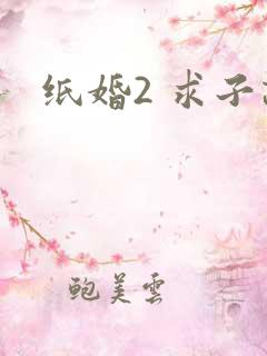 纸婚2 求子记