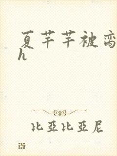 夏芊芊被脔日常h