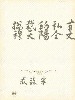 总裁的私有宝贝穆天阳全文阅读