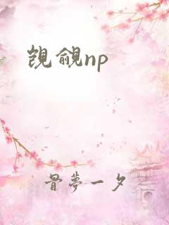 觊觎np