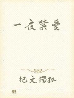 一夜禁爱