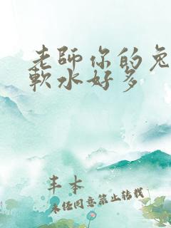 老师你的兔子好软水好多