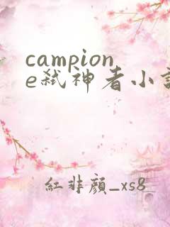 campione弑神者小说