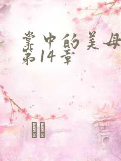 掌中的美母版主第14章