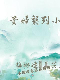 贵妇系列小多美