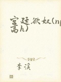 宫廷欲奴(np高h)