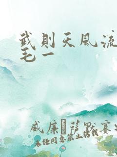 武则天风流艳情毛一