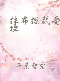 抹布总裁受多人攻