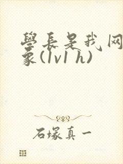 学长是我网恋对象(1v1 h)