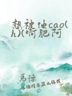 想被他cao(h)(啊肥阿