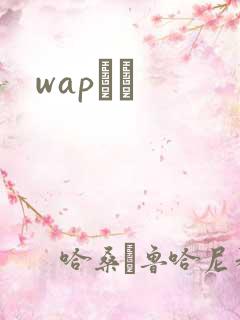 wapС˵