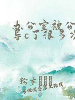 办公室被公司领导c了很多次