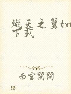 炽天之翼txt下载