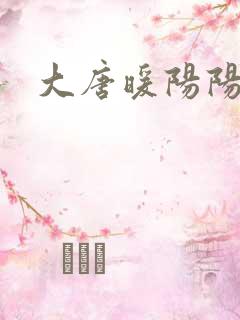 大唐暖阳阳