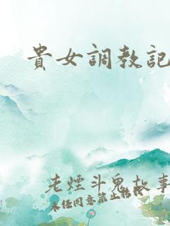 贵女调教记