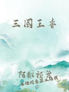 三国王睿