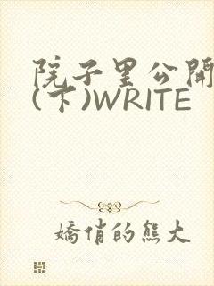 院子里公开惩戒(下)WRITE