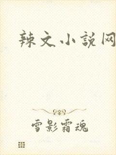 辣文小说网