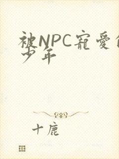 被NPC宠爱的少年