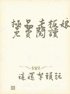 极品老板娘全文免费阅读