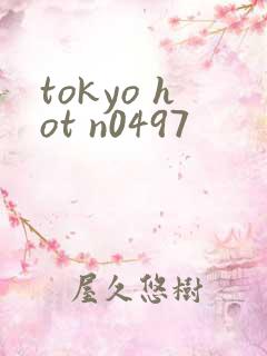 tokyo hot n0497