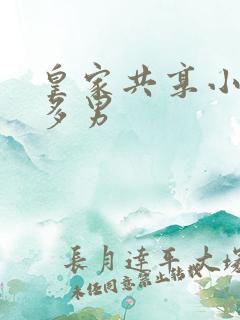 皇家共享小公主多男