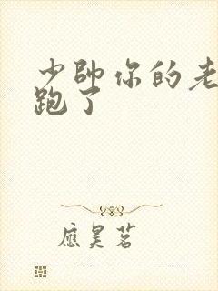 少帅你的老婆又跑了