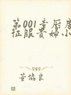 第001章厨房征服贵妇小说