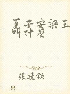 夏子安梁王书名叫什么