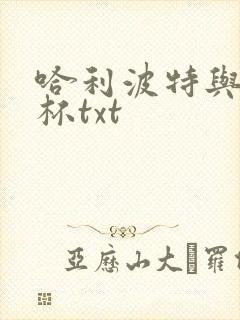 哈利波特与火焰杯txt