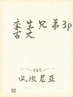 孪生兄弟3ph古文