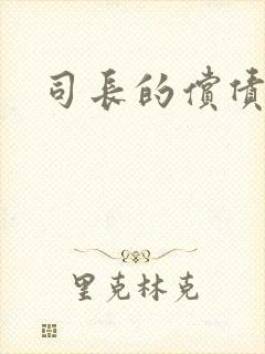 司长的偿债新娘