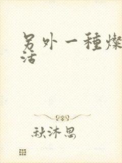 另外一种灿烂生活