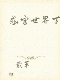 感官世界下载