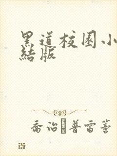 黑道校园小说完结版