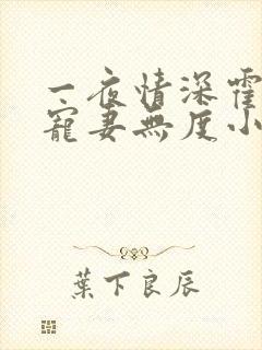 一夜情深霍先生宠妻无度小说免费阅读