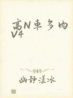 高N车多肉多1V4