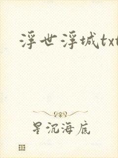 浮世浮城txt