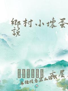 乡村小坏蛋 小说