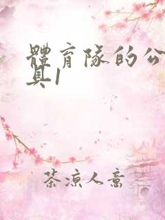 体育队的公用玩具1