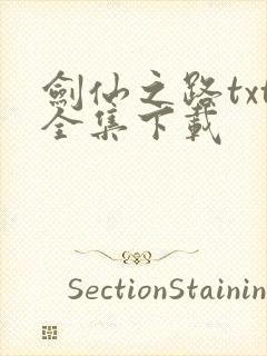 剑仙之路txt全集下载