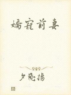 娇宠前妻