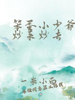 笨蛋小少爷又被炒来炒去