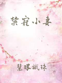 禁宠小妻